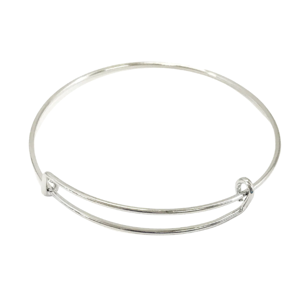 Stainless Steel Bangle Bracelet