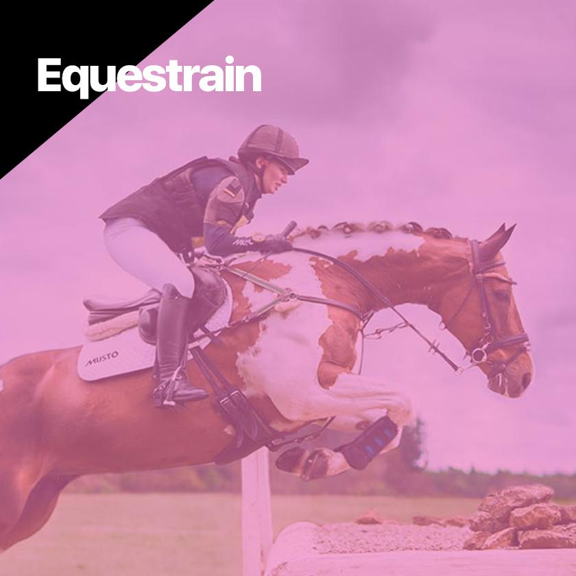 Equestrian Collection