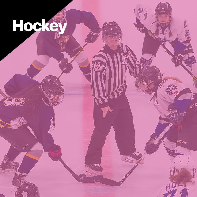 Hockey Collection