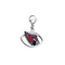 Arizona Cardinals