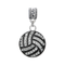 Volleyball rhine