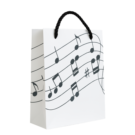 Music gift bag featuring musical notes, perfect for birthday gifts and thoughtful giveaways.