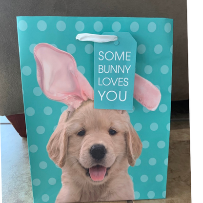 Easter Gift Bag - Some Bunny Loves You